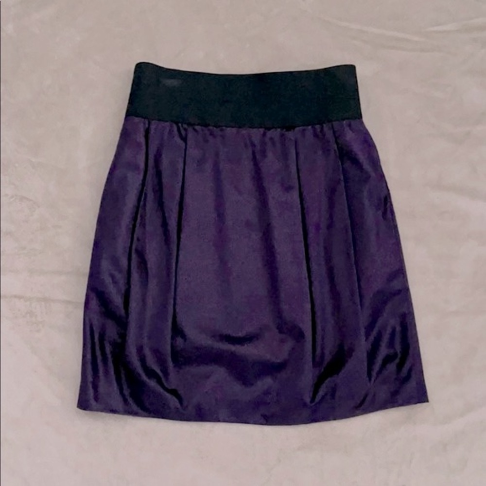 ADAM LIPPES Skirt | Purple | Size 4